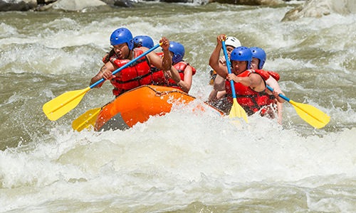 Group of people white water rafting